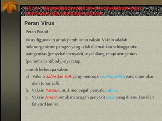 SKL 2.1. Menjelaskan peran Virus, Archaebacteria dan
Eubacteria bagi kehidupan manusia
Peran Virus
PeranPositif
Virusdigunakanuntukpembuatanvaksin.Vaksinadalah
mikroorganismepatogenyangtelahdilemahkansehinggasifat
patogenitas(penyebabpenyakit)-nyahilang,tetapiantigenitas
(penimbulantibody)-nyatetap.
contohbeberapavaksin:
a) VaksinSabindanSalkyangmencegahpoliomyelitisyangditemukan
olehJonas Salk.
b. VaksinPasteuruntukmencegahpenyakitrabies.
c. VaksinJennerumtukmencegahpenyakitcacar yangditemukanoleh
EdwardJenner.
 