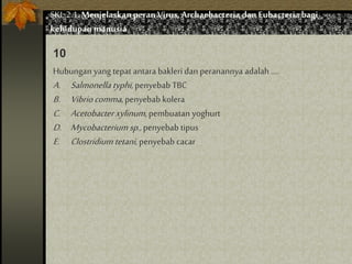 Hubungan yang tepat antara bakleri dan peranannya adalah ....
A. Salmonella typhi, penyebab TBC
B. Vibriocomma, penyebab kolera
C. Acetobacterxylinum, pembuatan yoghurt
D. Mycobacteriumsp.,penyebab tipus
E. Clostridium tetani, penyebab cacar
10
SKL 2.1.Menjelaskan peran Virus,Archaebacteria dan Eubacteria bagi
kehidupan manusia
 