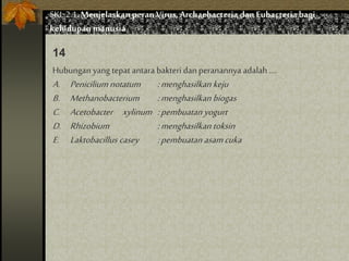 Hubungan yang tepat antara bakteri dan peranannya adalah ....
A. Peniciliumnotatum :menghasilkan keju
B. Methanobacterium :menghasilkan biogas
C. Acetobacter xylinum :pembuatan yogurt
D. Rhizobium :menghasilkan toksin
E. Laktobacillus casey :pembuatan asamcuka
14
SKL 2.1.Menjelaskan peran Virus,Archaebacteria dan Eubacteria bagi
kehidupan manusia
 