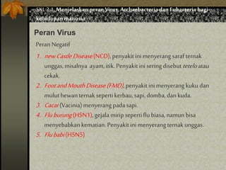 SKL 2.1.Menjelaskan peranVirus,Archaebacteria dan Eubacteria bagi
kehidupan manusia
Peran Virus
PeranNegatif
1. newCastleDisease(NCD),penyakitinimenyerangsarafternak
unggas,misalnya ayam,itik.Penyakitiniseringdisebutteteloatau
cekak.
2. FootandMouthDisease(FMD),penyakitinimenyerangkukudan
muluthewanternaksepertikerbau,sapi,domba,dankuda.
3. Cacar(Vacinia)menyerangpadasapi.
4. Fluburung(H5N1),gejalamiripsepertiflubiasa,namunbisa
menyebabkankematian.Penyakitinimenyerangternakunggas.
5. Flubabi(H5N5)
 