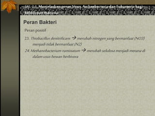 SKL 2.1.Menjelaskan peranVirus,Archaebacteria dan Eubacteria bagi
kehidupan manusia
Peran Bakteri
Peranpositif
23. Thiobacillus denitrificans merubahnitrogenyangbermanfaat(NO3)
menjaditidak bermanfaat (N2)
24.Methanobacterium ruminatum merubahselulosa menjadimetanadi
dalam usushewanherbivora
 