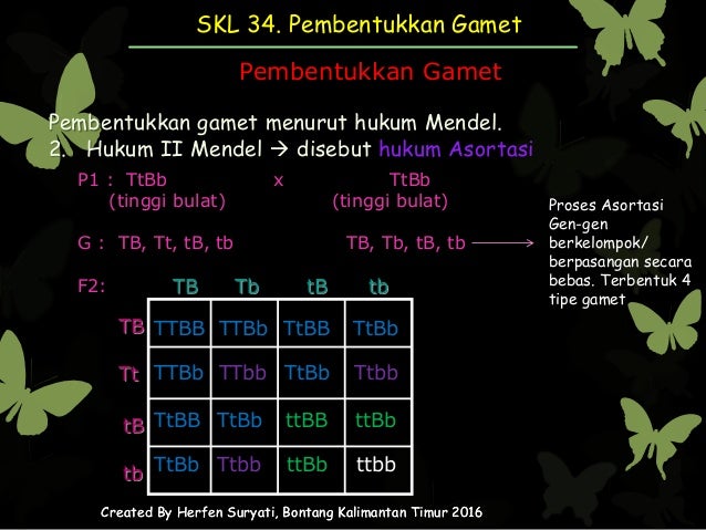 Skl 34. pembentukan gamet