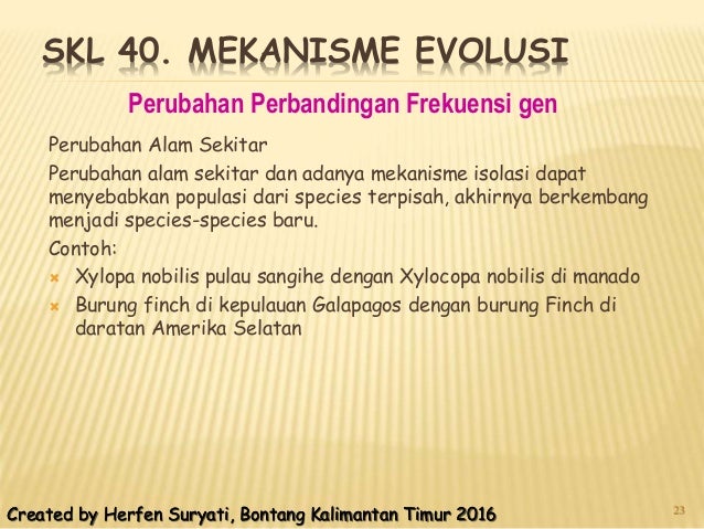 Skl 40 mekanisme evolusi1
