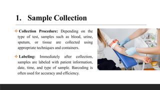 Laboratory Sample Collection Guide Medical Laboratory Workflow lab worlflow.pdf