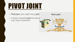 PIVOT JOINT
• Pivot joint, also called rotary joint
• A freely moveable joint that allows
only rotary movement .
 