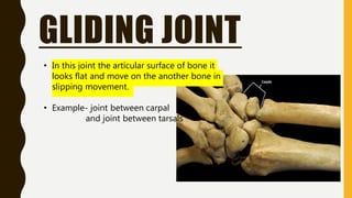 GLIDING JOINT
• In this joint the articular surface of bone it
looks flat and move on the another bone in
slipping movement.
• Example- joint between carpal
and joint between tarsals
 