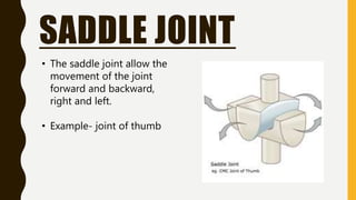 SADDLE JOINT
• The saddle joint allow the
movement of the joint
forward and backward,
right and left.
• Example- joint of thumb
 