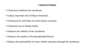 CHOLESTEROL
• Cholesterol stabilizes the membrane.
• It plays important role in bilayer formation.
• Cholesterol by itself does not form bilayer structure.
• Cholesterol act as fluidity buffer.
• Enhances the stability of the membrane.
• Enhances the rigidity of the phospholipid bilayer.
• Reduces the permeability of water soluble substance through the membrane.
 