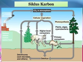 Pembakar
an
Karbon
dalam
bahan
bakar fosil
Siklus Karbon
 