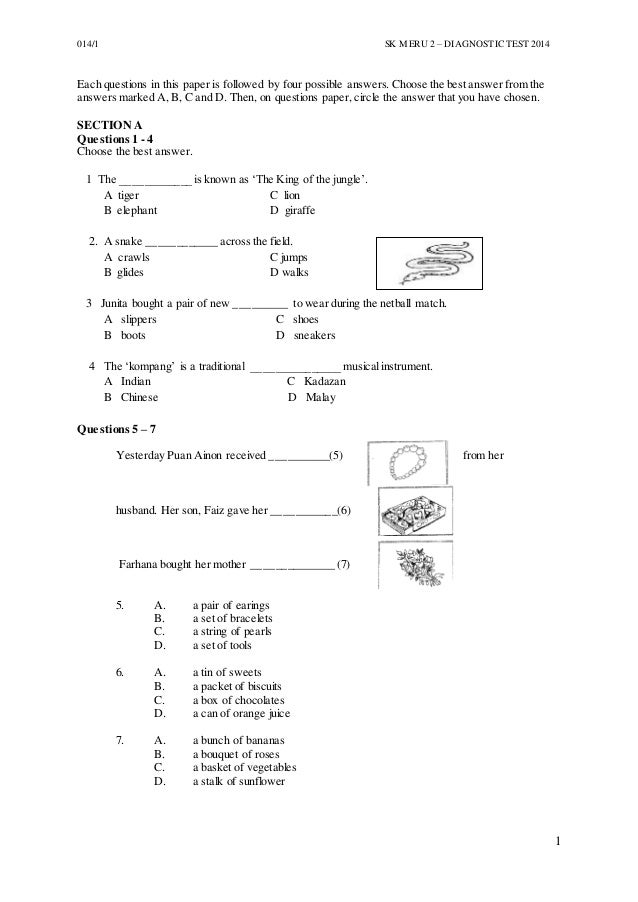 Sk Meru 2 Test Paper 1