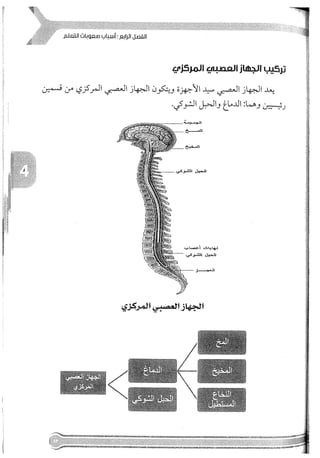 Skmbt 50114050416050