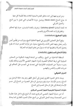 Skmbt 50114050416050