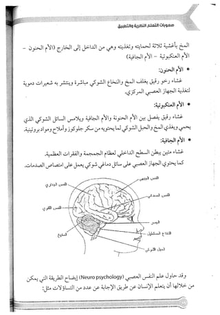 Skmbt 50114050416050