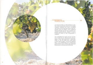 Maridaje con vinos de Jerez