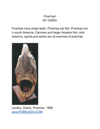 Animal Research Reports - Mrs. Lepp's Class