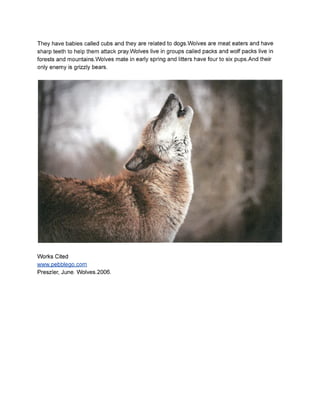 Animal Research Reports - Mrs. Lepp's Class