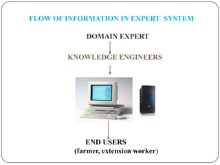 FLOW OF INFORMATION IN EXPERT SYSTEM
DOMAIN EXPERT
KNOWLEDGE ENGINEERS
END USERS
(farmer, extension worker)
 