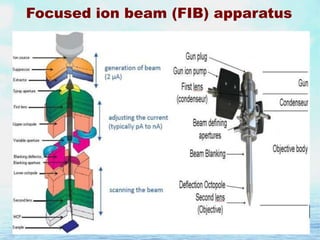 Focused ion beam (FIB) apparatus

 