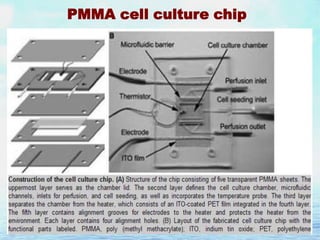 PMMA cell culture chip

 