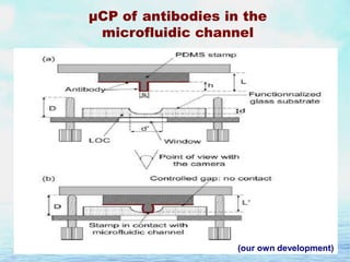 µCP of antibodies in the
microfluidic channel

(our own development)

 