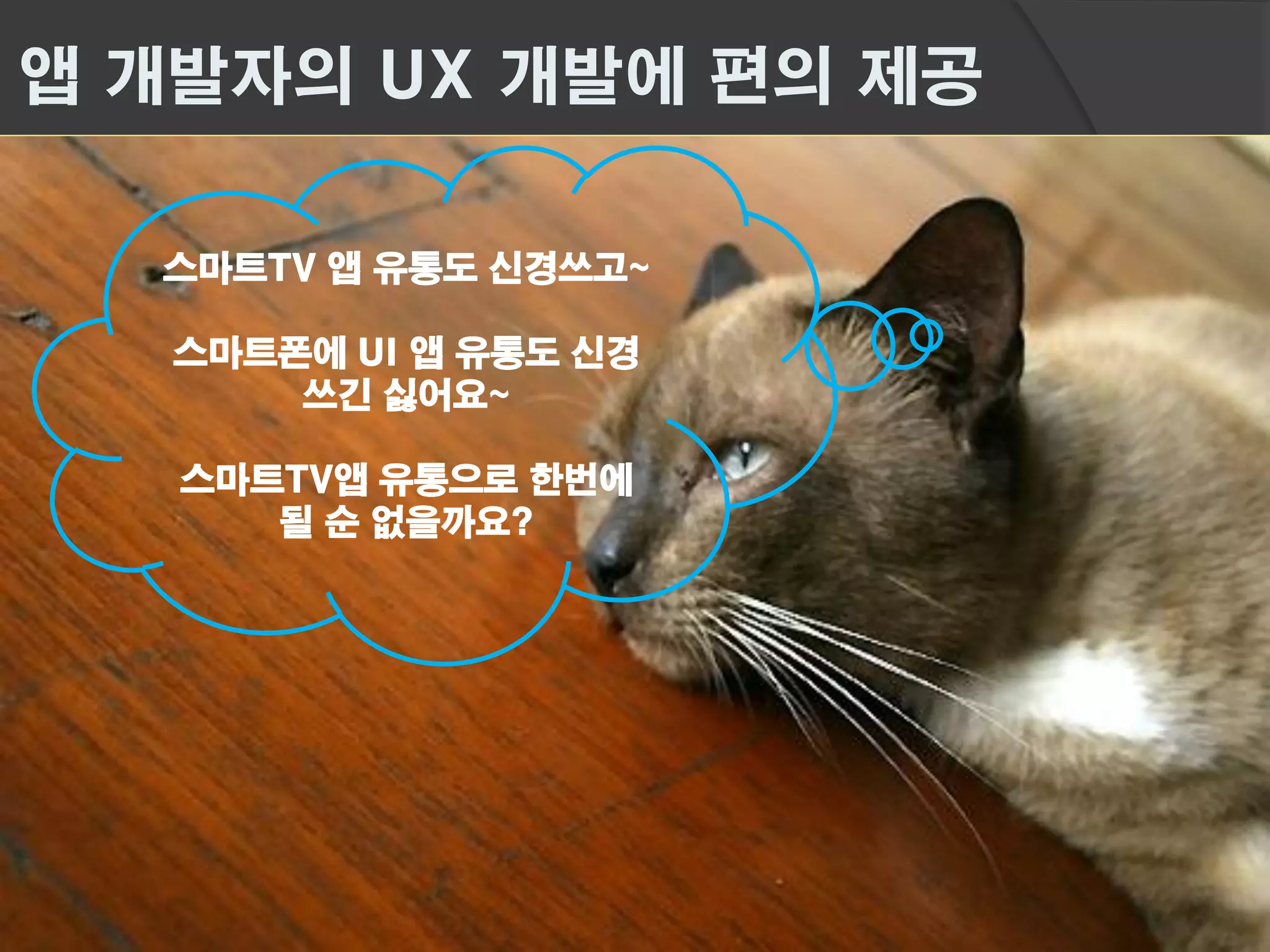 앱 개발자의 UX 개발에 편의 제공

  스마트TV 앱 유통도 신경쓰고~

   스마트폰에 UI 앱 유통도 신경
       쓰긴 싫어요~

   스마트TV앱 유통으로 한번에
      될 순 없을까요?
 