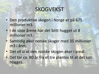 SKOGVEKST
• Den produktive skogen i Norge er på 675
  millioner m3.
• I de siste årene har det blitt hugget ut 8
  millioner m3.
• Samtidig øker norske skoger med 35 millioner
  m3 i året.
• Det vil si at den norske skogen øker i areal.
• Det tar ca. 80 år fra et tre plantes til at det kan
  hogges.
 