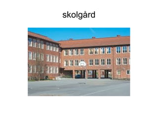 skolgård
 