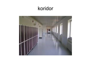 koridor
 
