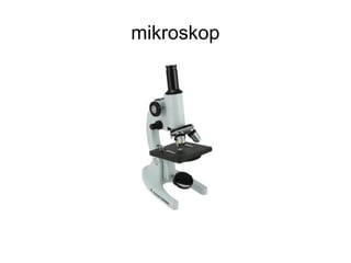mikroskop
 