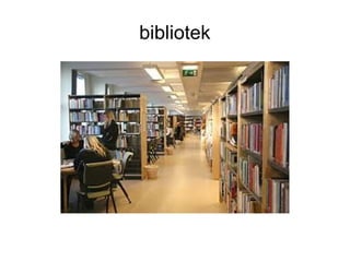 bibliotek
 