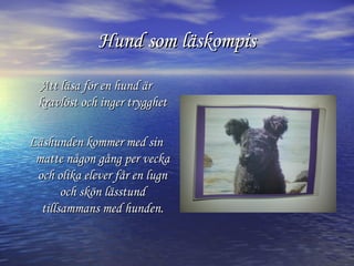 Hund som läskompis
Att läsa för en hund är
kravlöst och inger trygghet
Läshunden kommer med sin
matte någon gång per vecka
och olika elever får en lugn
och skön lässtund
tillsammans med hunden.

 