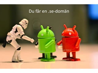 Du får en .se-domän
 