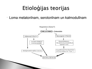    Loma melatonīnam, serotonīnam un kalmodulīnam
 