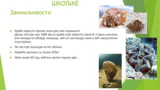 Занимљивости
 Крабе користе празне љуштуре као скровиште
Данас постоји око 1000 врста краба које користе скелете старих шкољки,
али никада не убијају мекушца, већ се настањују само у већ напуштеним
љуштурама.
 Не постоје љуштуре истог облика
 Највеће шкољке су тешке 250кг
 Неке живе 60 год, већина малих годину-две.
ШКОЉКЕ
 