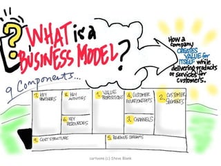 cartoons (c) Steve Blank 
 