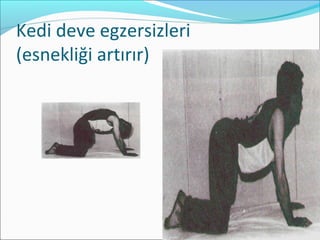 Kedi deve egzersizleri
(esnekliği artırır)
 
