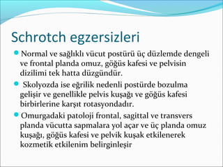 Schrotch egzersizleri
Normal ve sağlıklı vücut postürü üç düzlemde dengeli
ve frontal planda omuz, göğüs kafesi ve pelvisin
dizilimi tek hatta düzgündür.
 Skolyozda ise eğrilik nedenli postürde bozulma
gelişir ve genellikle pelvis kuşağı ve göğüs kafesi
birbirlerine karşıt rotasyondadır.
Omurgadaki patoloji frontal, sagittal ve transvers
planda vücutta sapmalara yol açar ve üç planda omuz
kuşağı, göğüs kafesi ve pelvik kuşak etkilenerek
kozmetik etkilenim belirginleşir
 