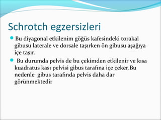 Schrotch egzersizleri
Bu diyagonal etkilenim göğüs kafesindeki torakal
gibusu laterale ve dorsale taşırken ön gibusu aşağıya
içe taşır.
 Bu durumda pelvis de bu çekimden etkilenir ve kısa
kuadratus kası pelvisi gibus tarafına içe çeker.Bu
nedenle gibus tarafında pelvis daha dar
görünmektedir
 