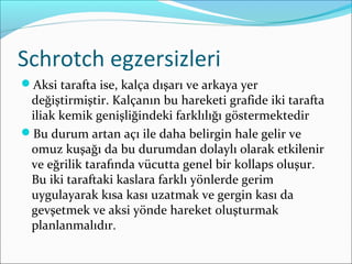 Schrotch egzersizleri
Aksi tarafta ise, kalça dışarı ve arkaya yer
değiştirmiştir. Kalçanın bu hareketi grafide iki tarafta
iliak kemik genişliğindeki farklılığı göstermektedir
Bu durum artan açı ile daha belirgin hale gelir ve
omuz kuşağı da bu durumdan dolaylı olarak etkilenir
ve eğrilik tarafında vücutta genel bir kollaps oluşur.
Bu iki taraftaki kaslara farklı yönlerde gerim
uygulayarak kısa kası uzatmak ve gergin kası da
gevşetmek ve aksi yönde hareket oluşturmak
planlanmalıdır.
 