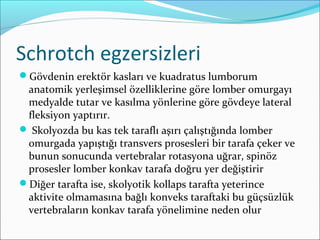 Schrotch egzersizleri
Gövdenin erektör kasları ve kuadratus lumborum
anatomik yerleşimsel özelliklerine göre lomber omurgayı
medyalde tutar ve kasılma yönlerine göre gövdeye lateral
fleksiyon yaptırır.
 Skolyozda bu kas tek taraflı aşırı çalıştığında lomber
omurgada yapıştığı transvers prosesleri bir tarafa çeker ve
bunun sonucunda vertebralar rotasyona uğrar, spinöz
prosesler lomber konkav tarafa doğru yer değiştirir
Diğer tarafta ise, skolyotik kollaps tarafta yeterince
aktivite olmamasına bağlı konveks taraftaki bu güçsüzlük
vertebraların konkav tarafa yönelimine neden olur
 
