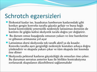 Schrotch egzersizleri
İliokostal kaslar ise, kuadratus lumborum kaslarındaki gibi
konkav gergin konveks tarafta güçsüz gelişir ve buna bağlı
kostal kontroldeki yetersizlik nedeniyle latissimus dorsinin de
katılımı ile göğüs kafesi skolyotik tarafa doğru yer değiştirir.
 Bu durum omuz kuşağında omuzun yukarı ve öne hareketine
ve gibusun artmasına yol açar
Latissimus dorsi skolyozda tek taraflı aktif ya da kısadır.
Konveks tarafta aşırı gerginliği nedeniyle kostaları arkaya doğru
yönlendirir ve skapula yukarı çıkar ve tüm skapula üst kısımda
öne döner
Skolyozda pektoral kasların güçsüzlüğü de omuzları öne çeker.
Bu durumun serratus anterior kası ile birlikte kontraksiyona
zorlanarak skapulanın düzeltilmesi sağlanmalıdır
 