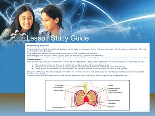 Lesson Study Guide 