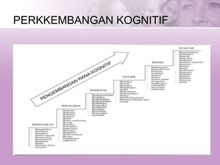 PERKKEMBANGAN KOGNITIF
 