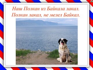 Наш Полкан из Байкала лакал.
Полкан лакал, не мелел Байкал.




  Лазарева Лидия Андреевна, учитель начальных классов, Рижская основная школа «ПАРДАУГАВА», Рига, 2009
 