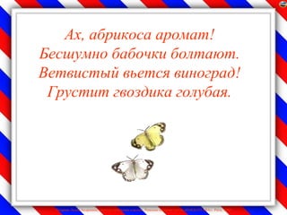 Ах, абрикоса аромат!
Бесшумно бабочки болтают.
Ветвистый вьется виноград!
 Грустит гвоздика голубая.




  Лазарева Лидия Андреевна, учитель начальных классов, Рижская основная школа «ПАРДАУГАВА», Рига, 2009
 