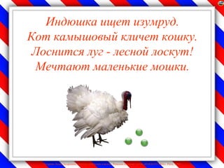 Индюшка ищет изумруд.
Кот камышовый кличет кошку.
 Лоснится луг - лесной лоскут!
 Мечтают маленькие мошки.




  Лазарева Лидия Андреевна, учитель начальных классов, Рижская основная школа «ПАРДАУГАВА», Рига, 2009
 