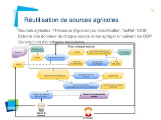 54 
Réutilisation de sources agricoles 
Sources agricoles: Thésaurus (Agrovoc) ou classification TaxRef, NCBI 
Extraire des données de chaque source et les agréger en suivant les ODP 
Construction d'ontologies modulaires 

