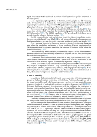 Faat Insect Multifunctional Roles of the Insect Fat Body in Metabolism, Immunity ...