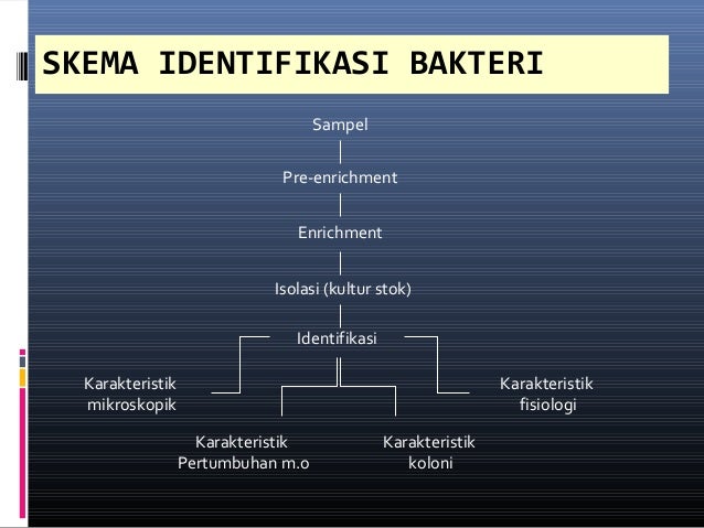 Skrining mikroba potensial 2010