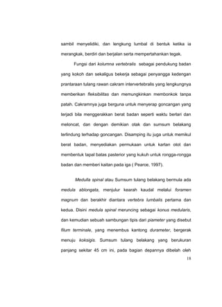 18
sambil menyelidiki, dan lengkung lumbal di bentuk ketika ia
merangkak, berdiri dan berjalan serta mempertahankan tegak.
Fungsi dari kolumna vertebralis sebagai pendukung badan
yang kokoh dan sekaligus bekerja sebagai penyangga kedengan
prantaraan tulang rawan cakram intervertebralis yang lengkungnya
memberikan fleksibilitas dan memungkinkan membonkok tanpa
patah. Cakramnya juga berguna untuk menyerap goncangan yang
terjadi bila menggerakkan berat badan seperti waktu berlari dan
meloncat, dan dengan demikian otak dan sumsum belakang
terlindung terhadap goncangan. Disamping itu juga untuk memikul
berat badan, menyediakan permukaan untuk kartan otot dan
membentuk tapal batas pasterior yang kukuh untuk rongga-rongga
badan dan memberi kaitan pada iga ( Pearce, 1997).
Medulla spinal atau Sumsum tulang belakang bermula ada
medula ablongata, menjulur kearah kaudal melalui foramen
magnum dan berakhir diantara vertebra lumbalis pertama dan
kedua. Disini medula spinal meruncing sebagai konus medularis,
dan kemudian sebuah sambungan tipis dari piameter yang disebut
filum terminale, yang menembus kantong durameter, bergerak
menuju koksigis. Sumsum tulang belakang yang berukuran
panjang sekitar 45 cm ini, pada bagian depannya dibelah oleh
 